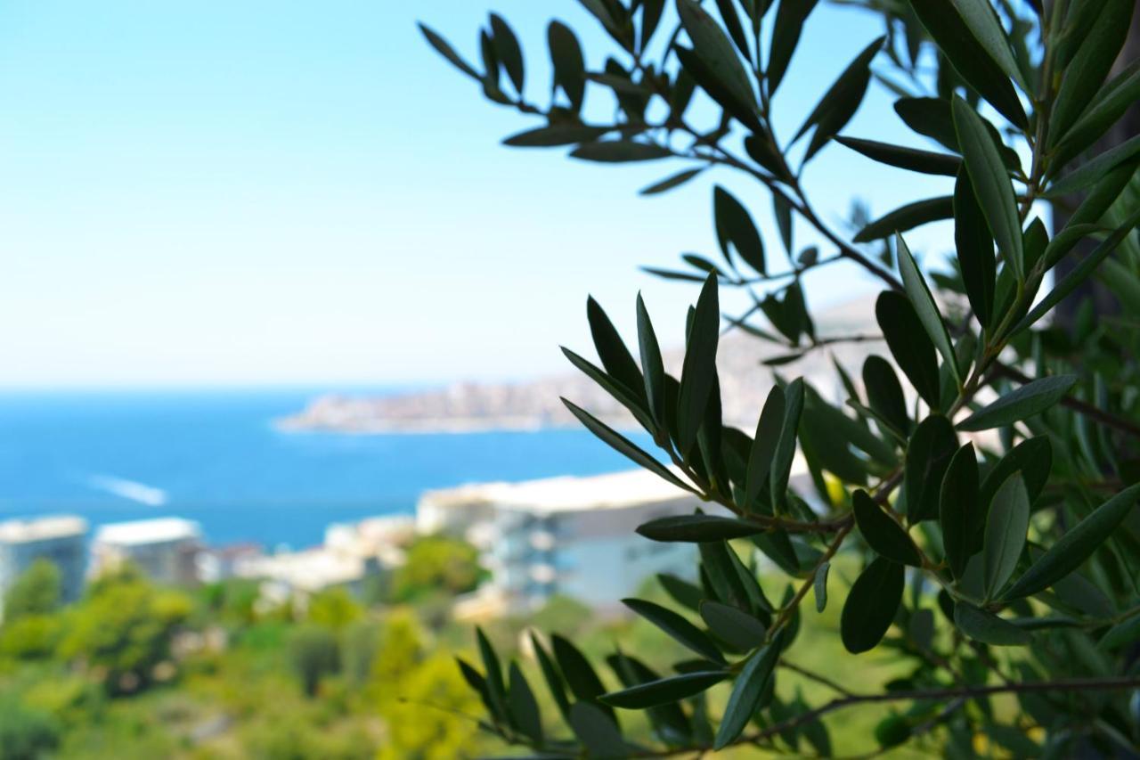 Artnest Luxury & Hotel 4*
